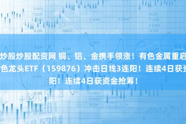 炒股炒股配资网 铜、铝、金携手领涨！有色金属重启升势！有色龙头ETF（159876）冲击日线3连阳！连续4日获资金抢筹！