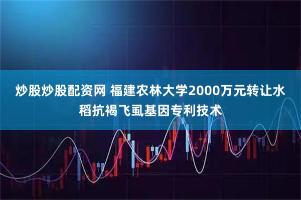 炒股炒股配资网 福建农林大学2000万元转让水稻抗褐飞虱基因专利技术